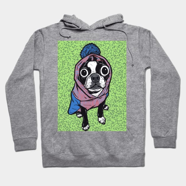 Boston Terrier Sweater Hoodie Hoodie by turddemon